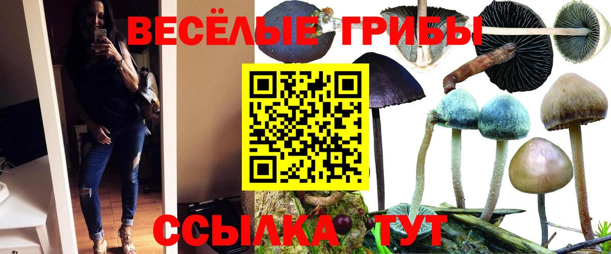 Соликамск  Псилоцибиновые грибы GOLDEN TEACHER  Вход с VPN  Галлюциногенные грибы прущие грибы 